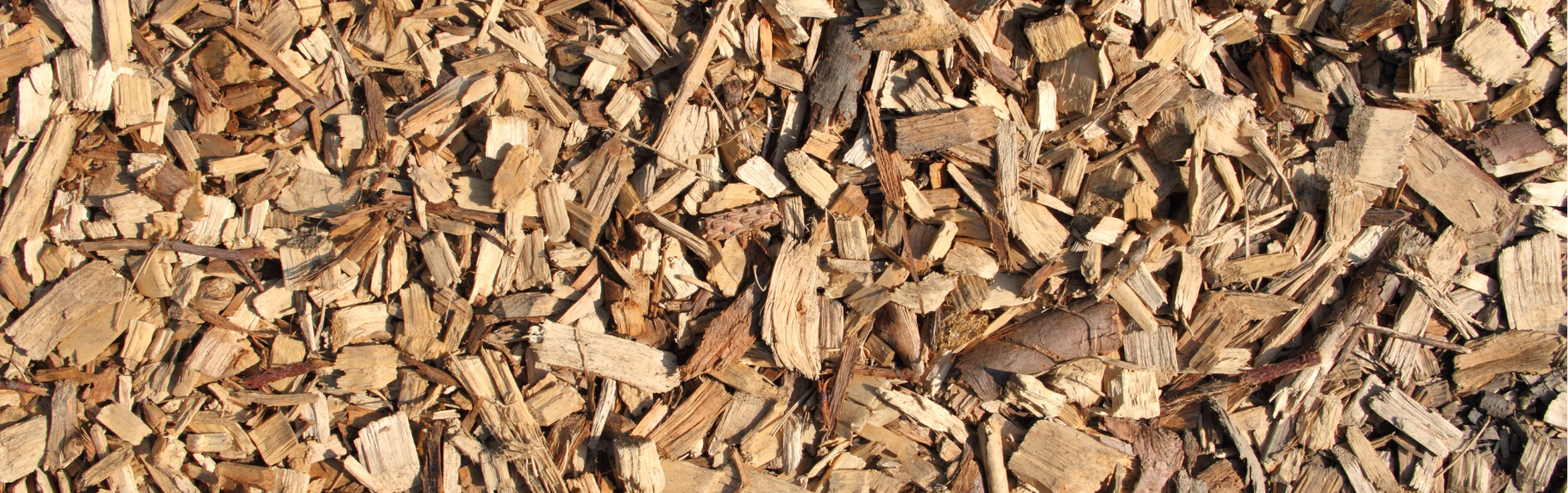 02_Kollektionen/Lösungen